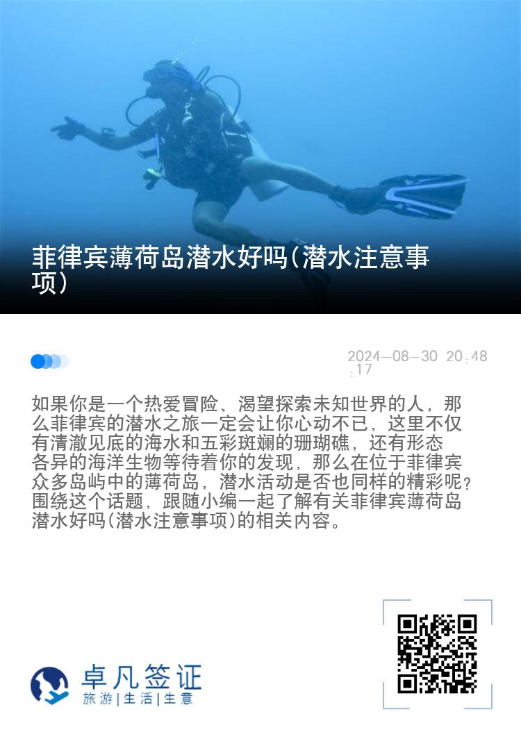 菲律宾薄荷岛潜水好吗(潜水注意事项)