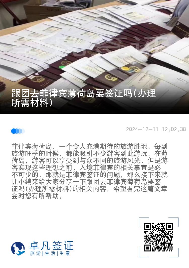 跟团去菲律宾薄荷岛要签证吗(办理所需材料)