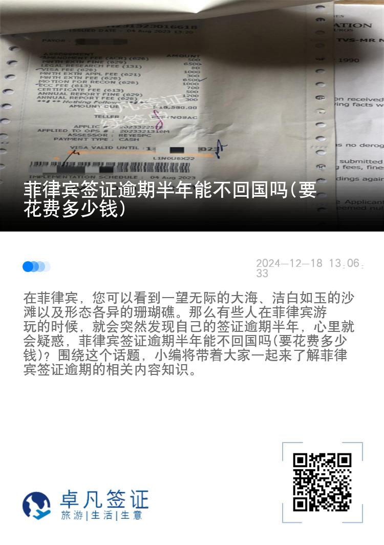 菲律宾签证逾期半年能不回国吗(要花费多少钱)