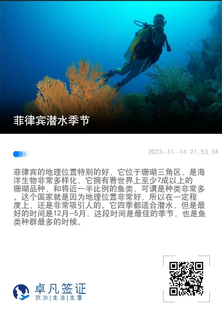 菲律宾潜水季节